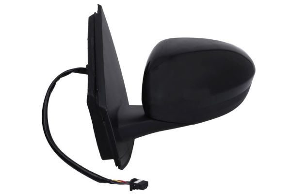 Blic Buitenspiegel 5402-67-2460359P