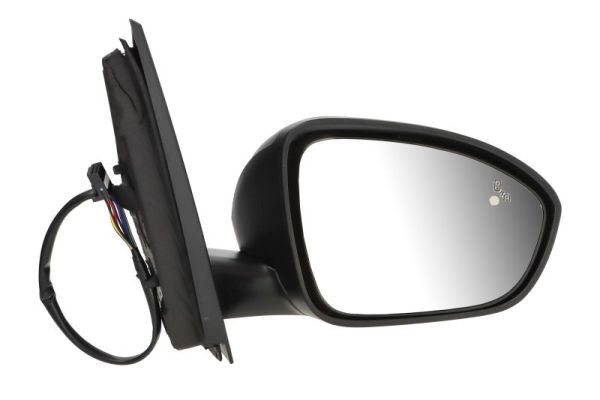 Blic Buitenspiegel 5402-67-2460360P