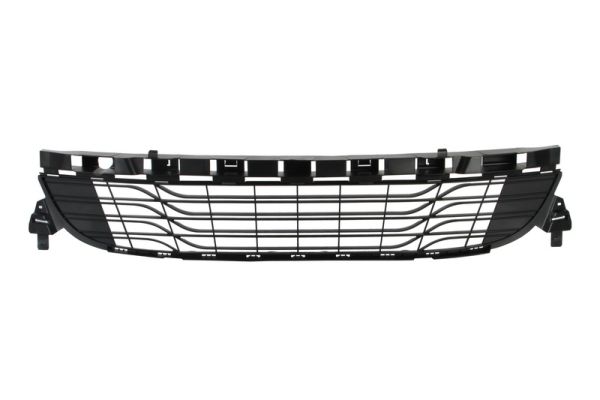 Grille Blic 5510-00-6043995Q