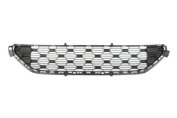 Grille Blic 5513-00-0531995Q