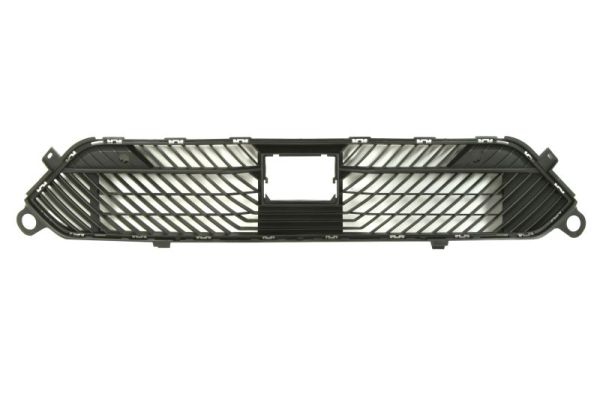 Grille Blic 5513-00-0542992P