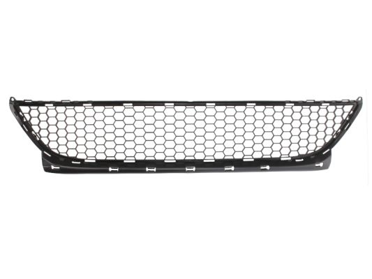 Grille Blic 5513-00-1301924P