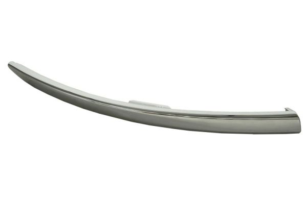 Sier- / beschermingspaneel, bumper Blic 5513-00-3207924DP