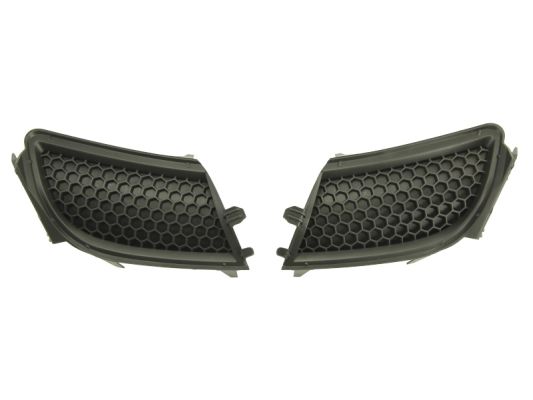 Grille Blic 5513-00-5519920P