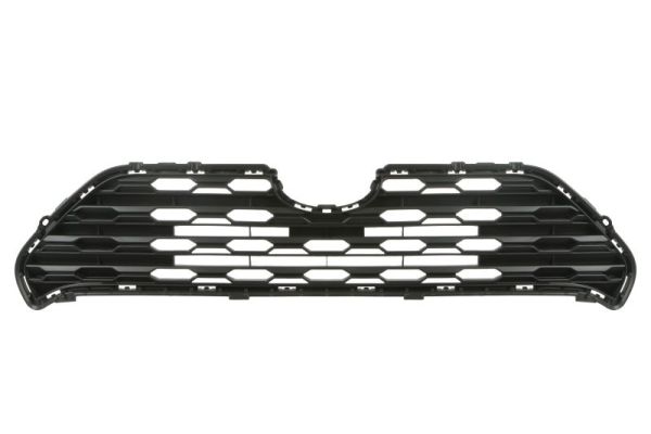 Grille Blic 5601-00-8186990P