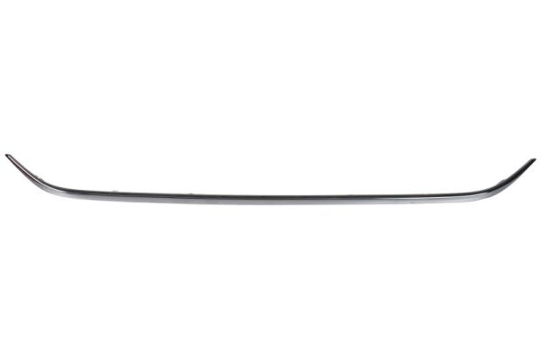 Sier- / beschermingspaneel, bumper Blic 5703-05-3558971P