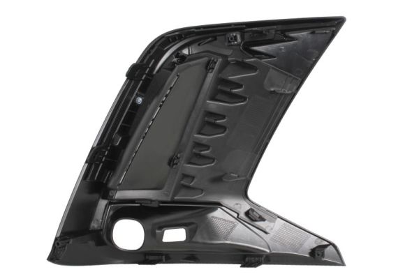 Blic Sier- / beschermingspaneel, bumper 5703-05-8169921P