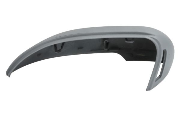 Blic Afdekking, buitenspiegel 6103-01-1585310P