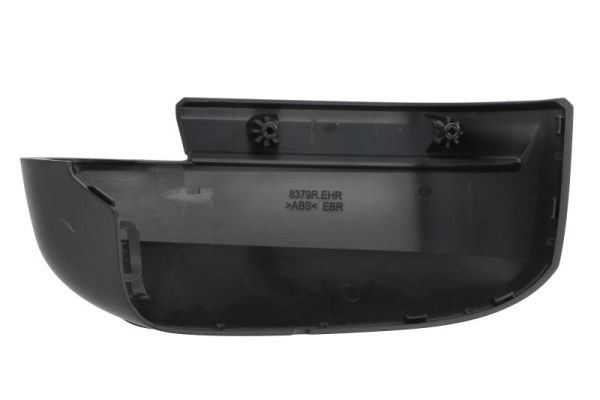 Blic Afdekking, buitenspiegel 6103-01-1999313P