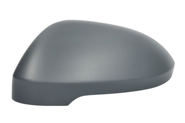 Blic Afdekking, buitenspiegel 6103-01-2555310P