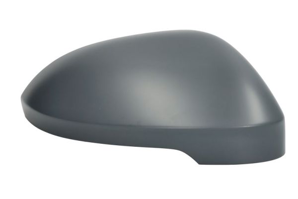 Blic Afdekking, buitenspiegel 6103-01-2555311P