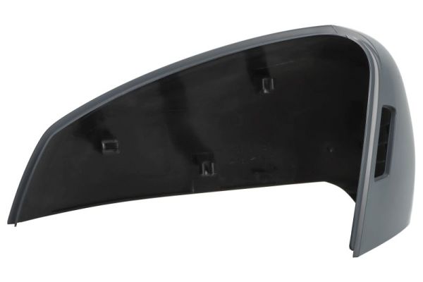 Blic Afdekking, buitenspiegel 6103-01-2583312P