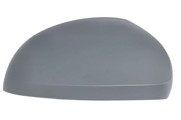 Blic Behuizing, buitenspiegel 6103-10-2002266P