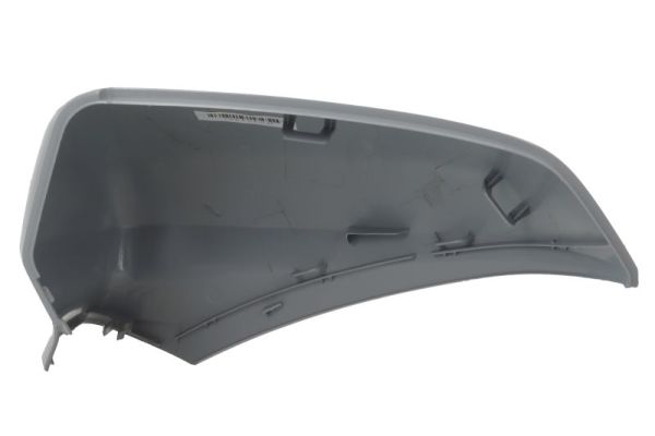 Blic Afdekking, buitenspiegel 6103-10-2358311P