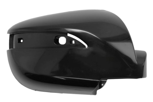 Blic Afdekking, buitenspiegel 6103-20-1901310P