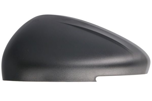 Blic Afdekking, buitenspiegel 6103-21-1882310P