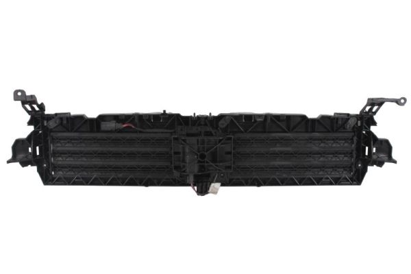 Blic Ventilatiegrille, bumper 6502-03-0030206P