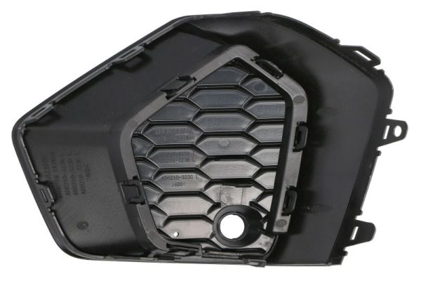 Blic Ventilatiegrille, bumper 6502-07-0039925P