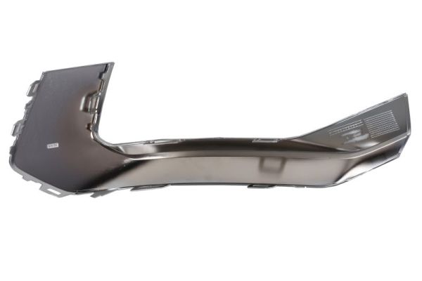 Blic Sier- / beschermingspaneel, bumper 6502-07-0048976P