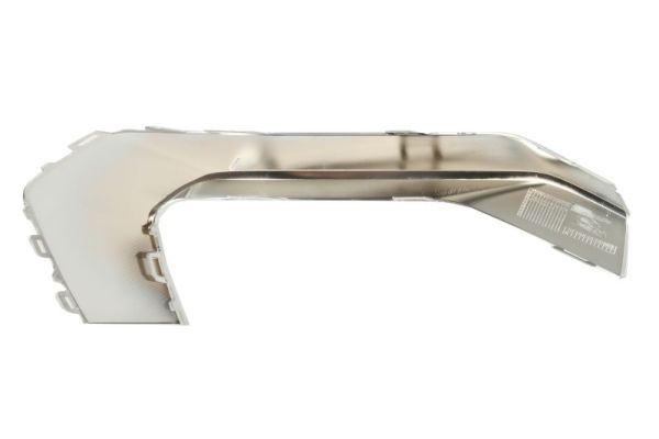 Blic Sier- / beschermingspaneel, bumper 6502-07-0048977P