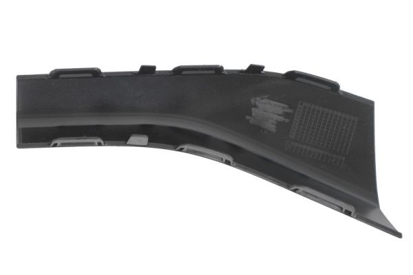 Blic Sier- / beschermingspaneel, bumper 6502-07-0048979BP