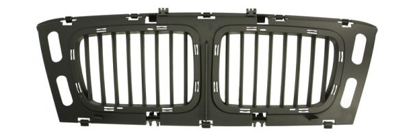 Grille Blic 6502-07-0057999P