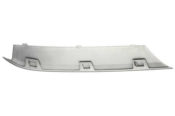 Blic Ventilatiegrille, bumper 6502-07-0067931GP