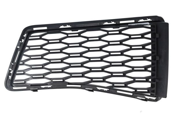 Blic Ventilatiegrille, bumper 6502-07-0067946P