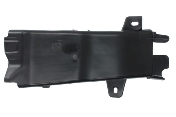 Blic Ventilatiegrille, bumper 6502-07-00679912GP