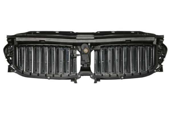 Blic Ventilatiegrille, bumper 6502-07-0068998P