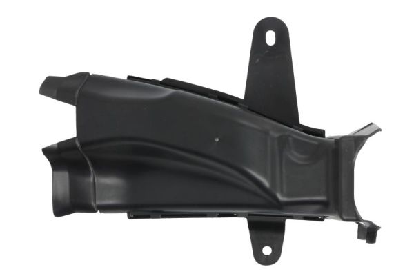 Ventilatiegrille, bumper Blic 6502-07-0072995PP