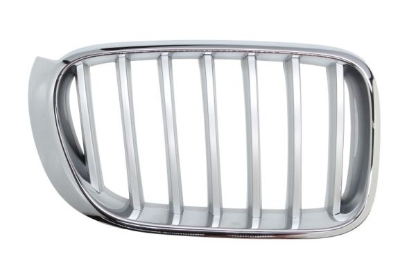 Grille Blic 6502-07-00939966P