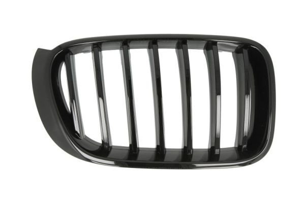 Grille Blic 6502-07-00939988P