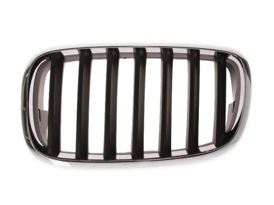 Grille Blic 6502-07-0096991P