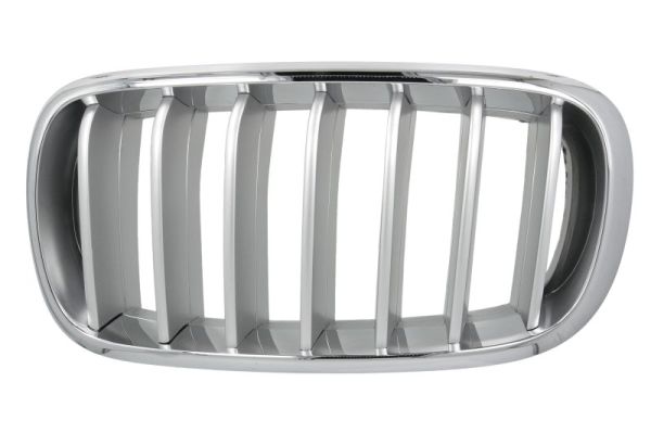 Grille Blic 6502-07-00969955P