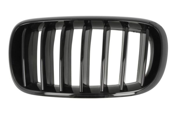 Grille Blic 6502-07-00969977P