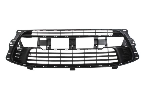 Grille Blic 6502-07-0537914Q