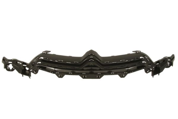 Grille Blic 6502-07-0537991Q