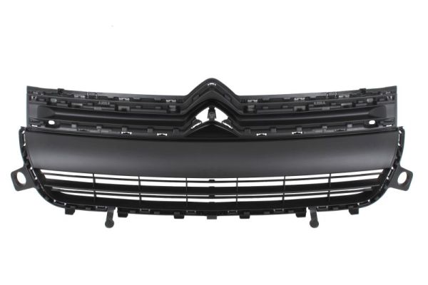 Grille Blic 6502-07-0554990Q