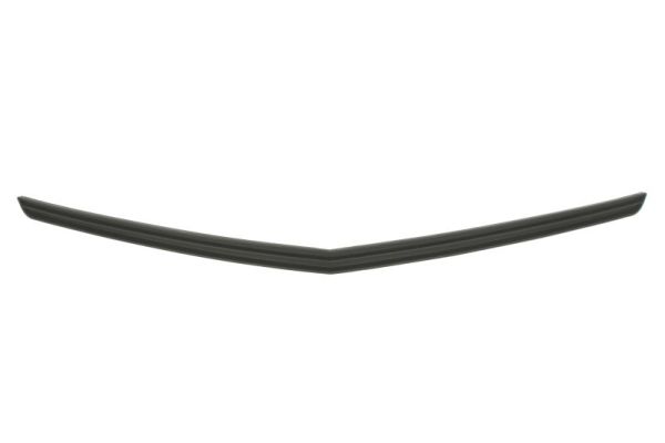 Blic Sier- / Beschermingspaneel, radiateurgrille 6502-07-1189994P