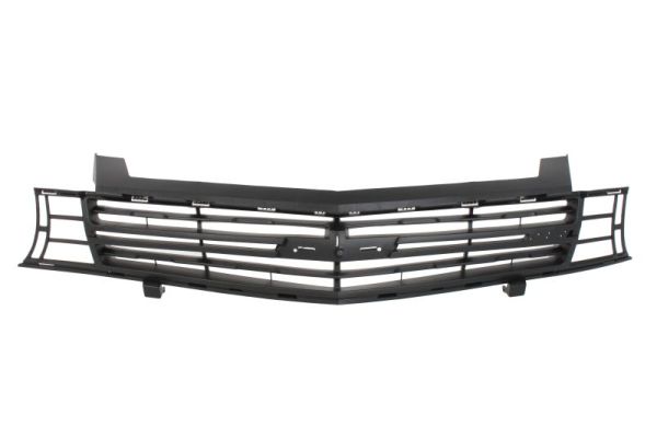 Blic Radiateurgrille 6502-07-1189995P