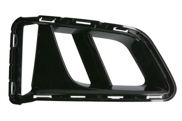 Blic Ventilatiegrille, bumper 6502-07-1196924P