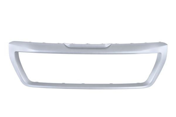 Sier- / Beschermingspaneel, radiateurgrille Blic 6502-07-2098993P