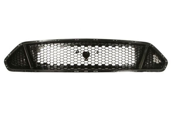 Grille Blic 6502-07-2553992P