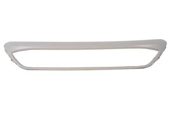 Blic Sier- / Beschermingspaneel, radiateurgrille 6502-07-2579982P