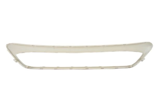 Blic Sier- / Beschermingspaneel, radiateurgrille 6502-07-2579982P