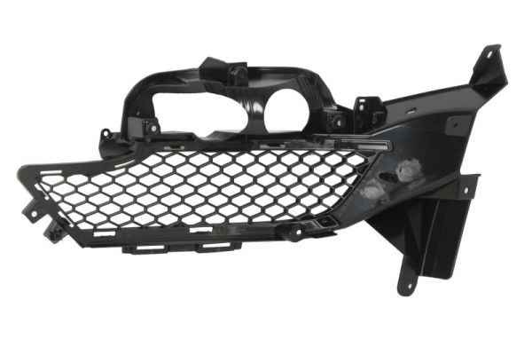 Blic Ventilatiegrille, bumper 6502-07-2586918P