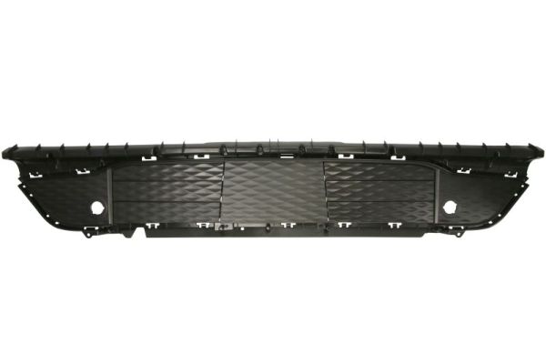 Ventilatiegrille, bumper Blic 6502-07-2590910P
