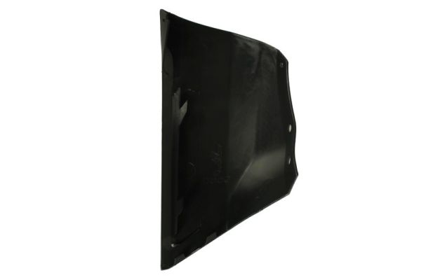 Blic Sier- / beschermingspaneel, bumper 6502-07-2594924P