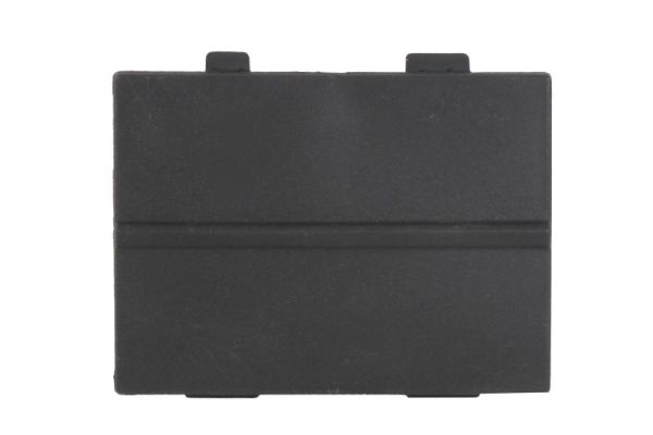 Blic Ventilatiegrille, bumper 6502-07-2596910P